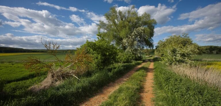 Narrow dirt road winding through green countryside under blue sky with clouds, symbolizing the Road to Damascus spiritual journey