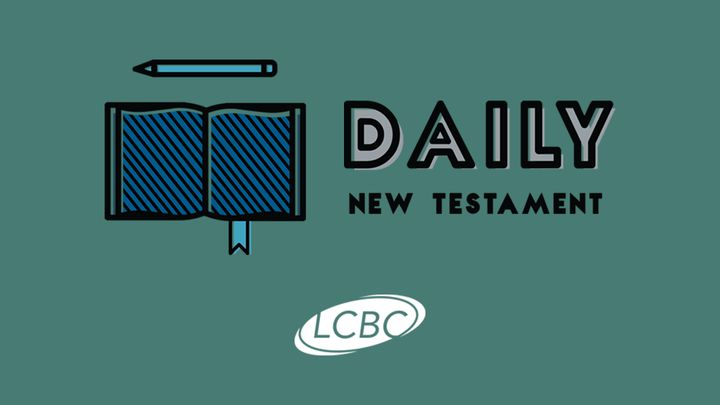 Daily New Testament reading plan graphic with open Bible illustration and LCBC logo